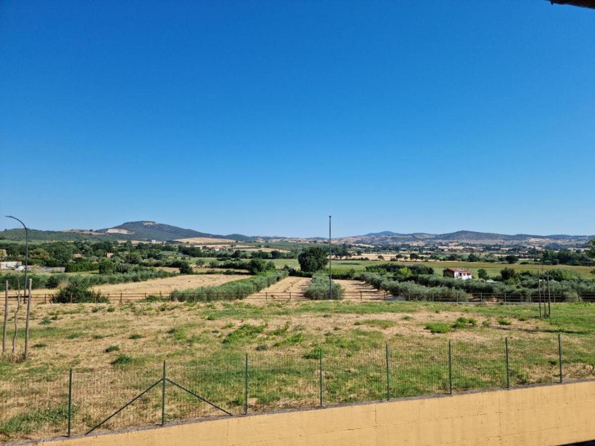 Istia Dream Διαμέρισμα Istia dʼOmbrone Εξωτερικό φωτογραφία